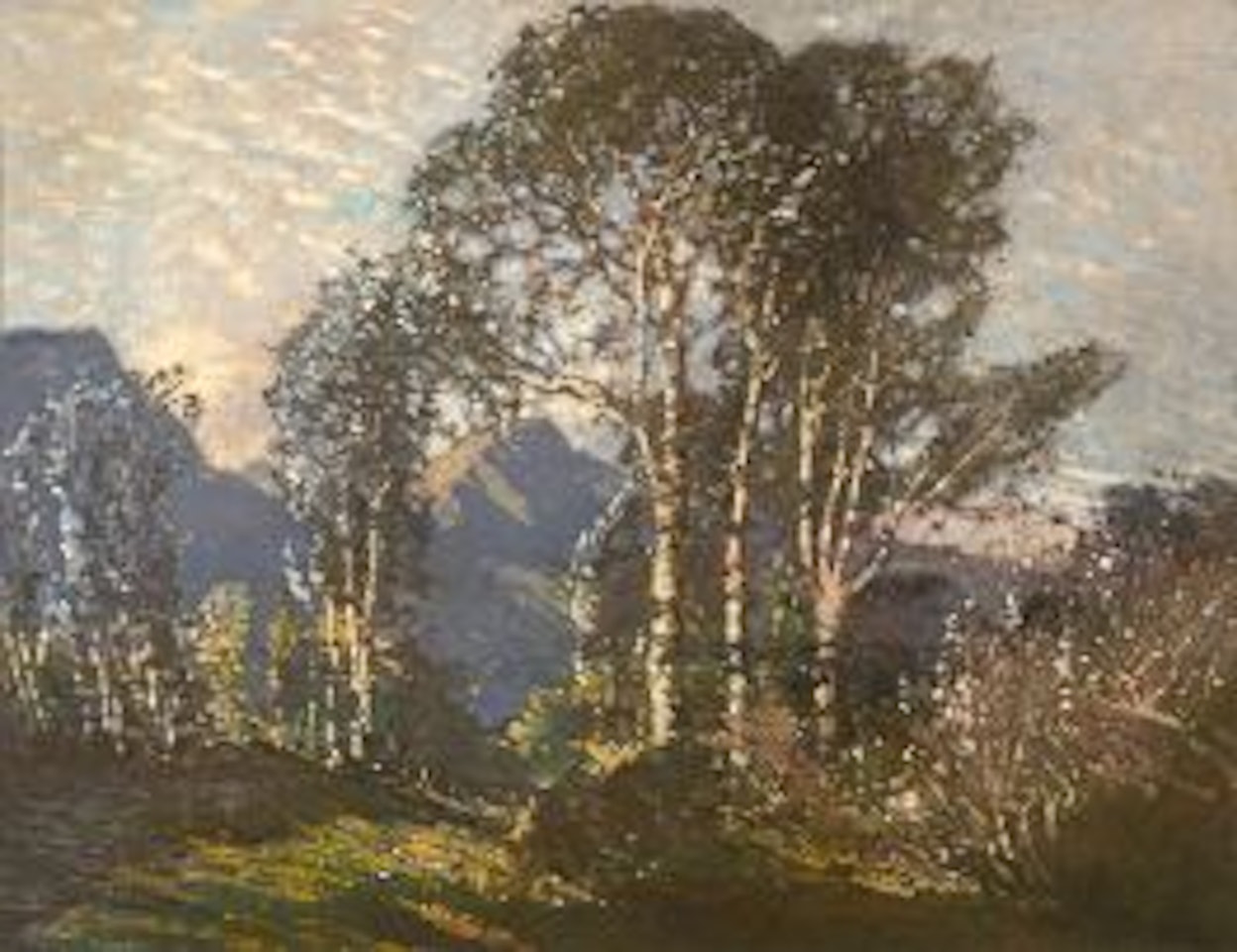 Birches with Devil"s Peak Beyond by Robert Gwelo Goodman