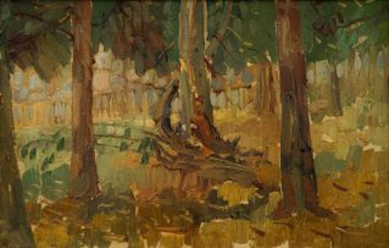 Trees by Pieter Wenning
