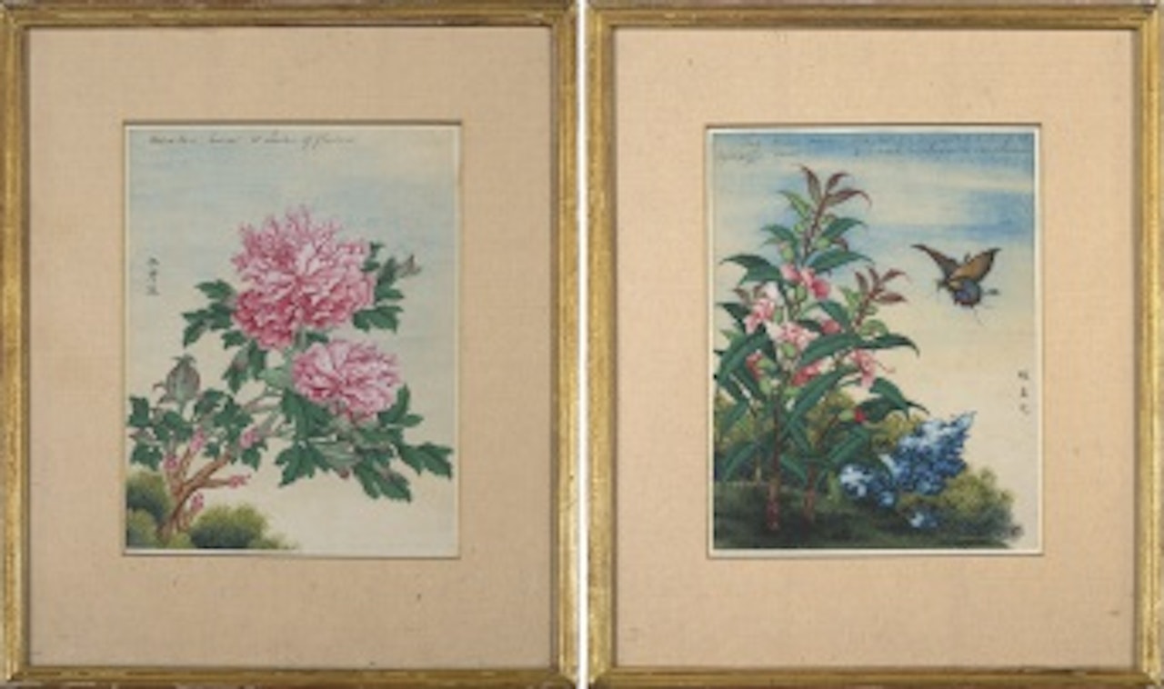 Botanical Studies, two by Chinese School