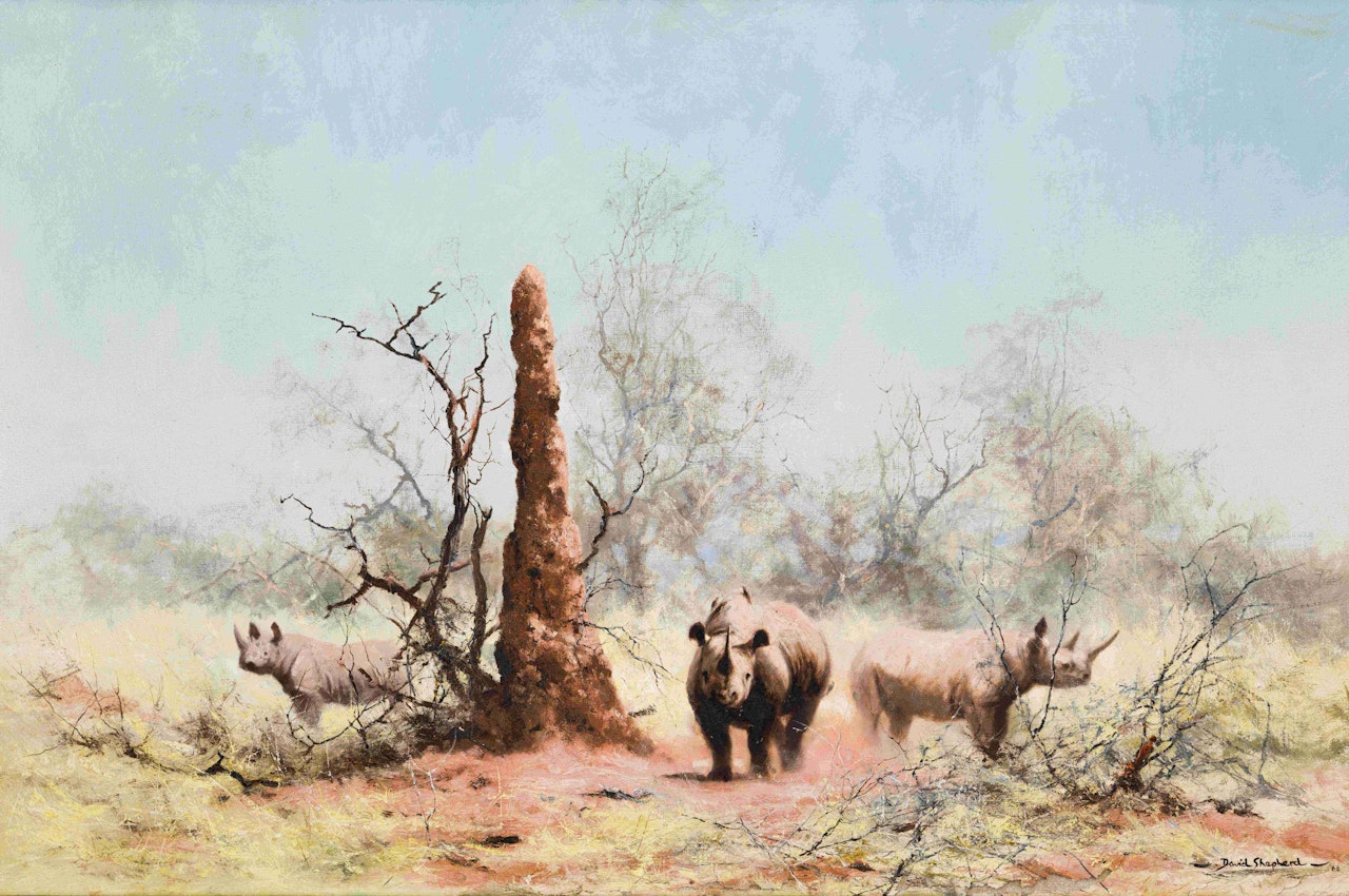 Rhinos and Termites by David Shepherd