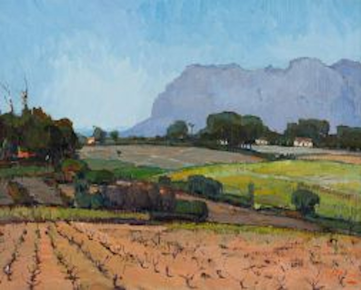 Vineyards, Constantia by Pieter Wenning