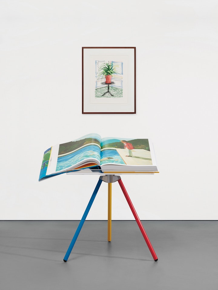 A Bigger Book, Art Edition C by David Hockney