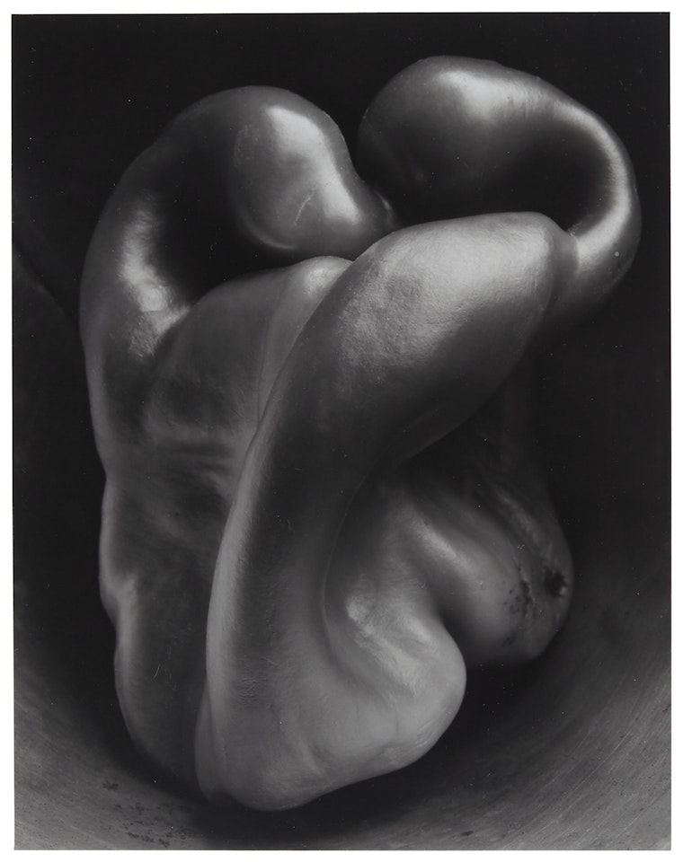 Pepper No. 30 by Edward Weston