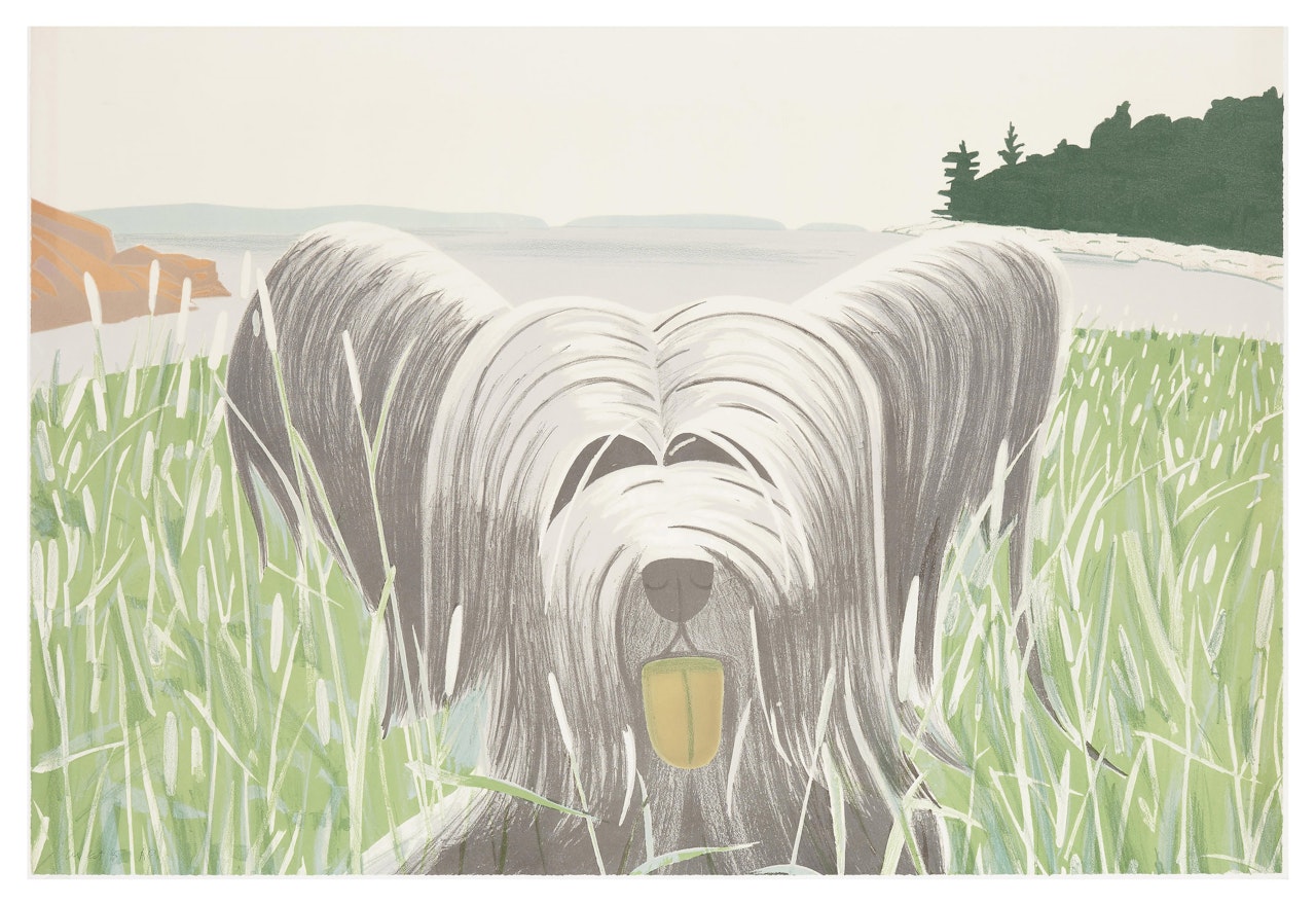 Dog at Ducktrap by Alex Katz