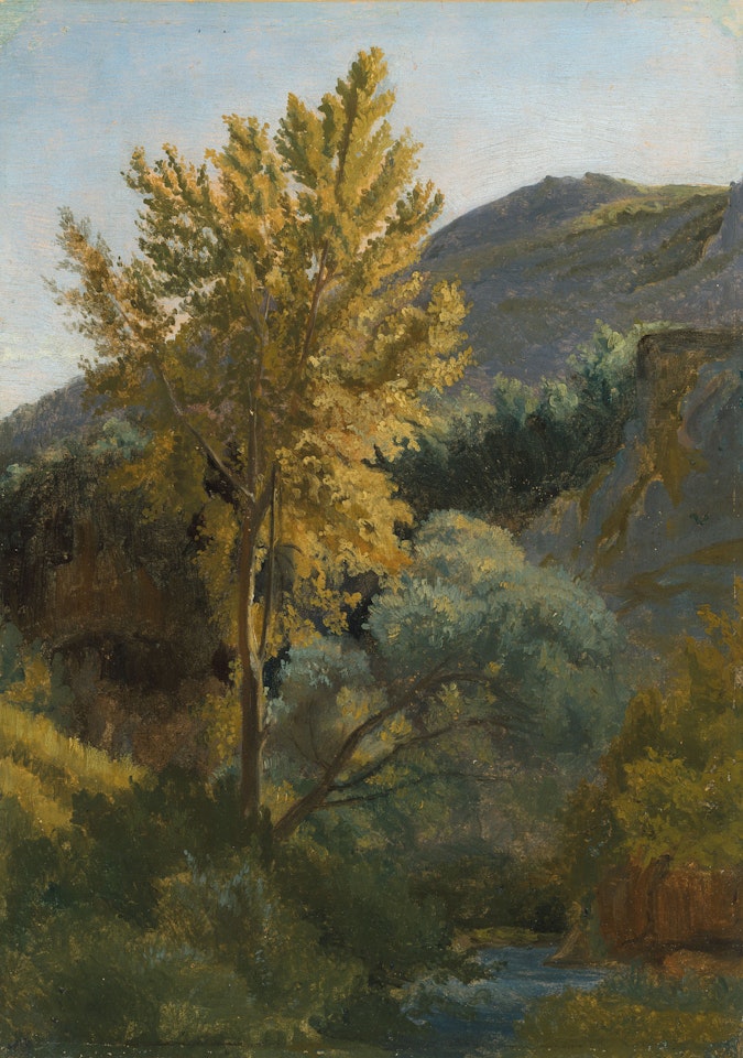 Etude d"arbre près d"un torrent en Italie by Jean Baptiste Camille Corot