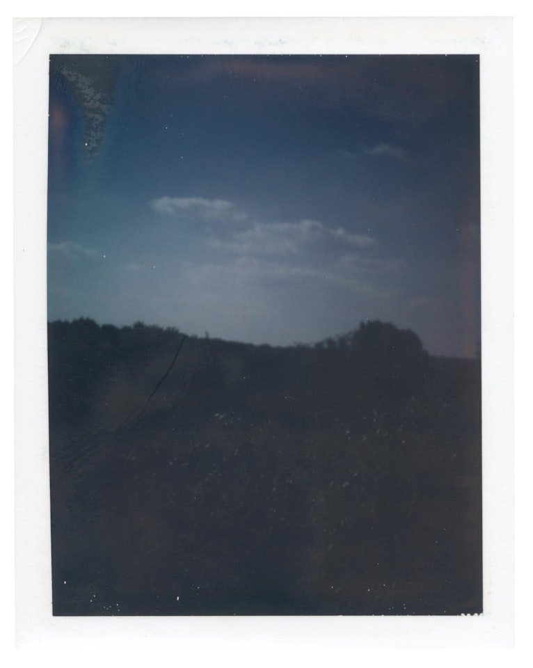 Treescape Horizon by Andy Warhol