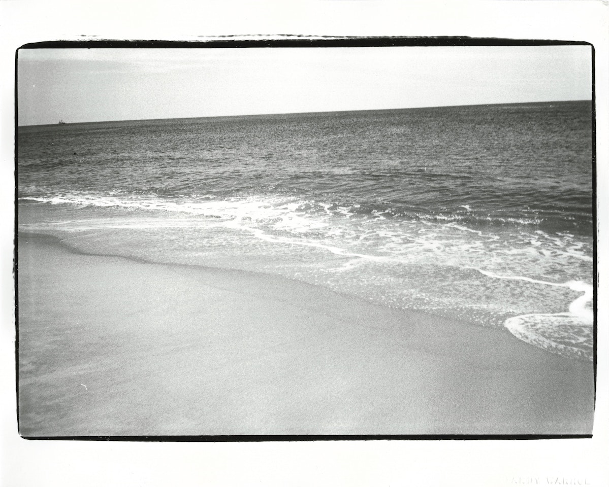 Seashore by Andy Warhol