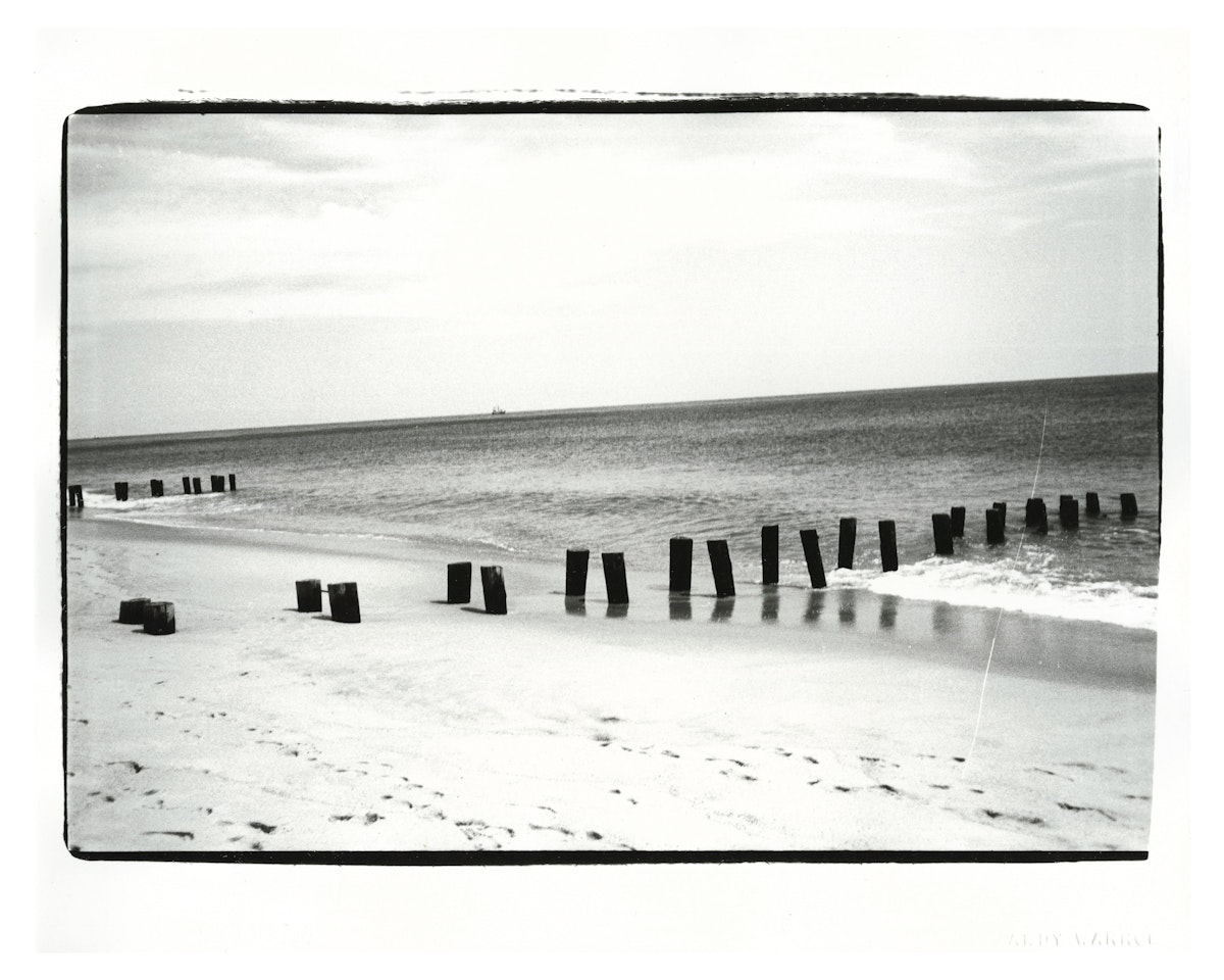 Seashore by Andy Warhol