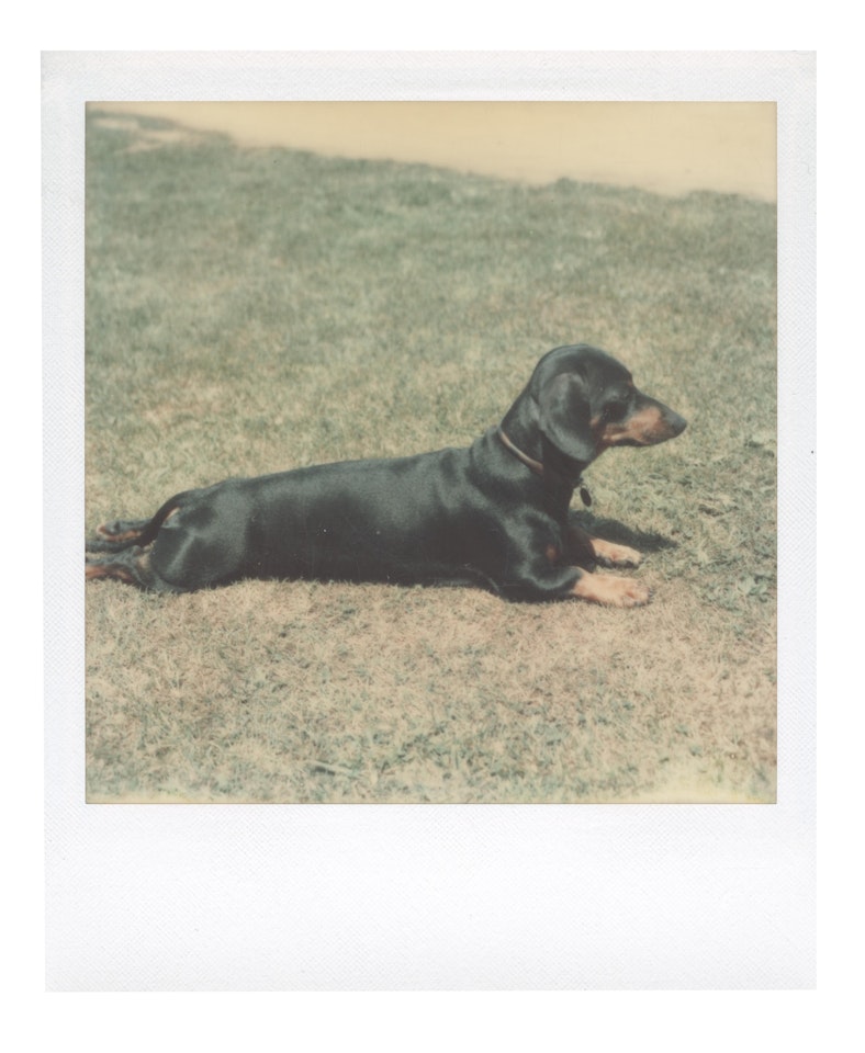 Archie by Andy Warhol