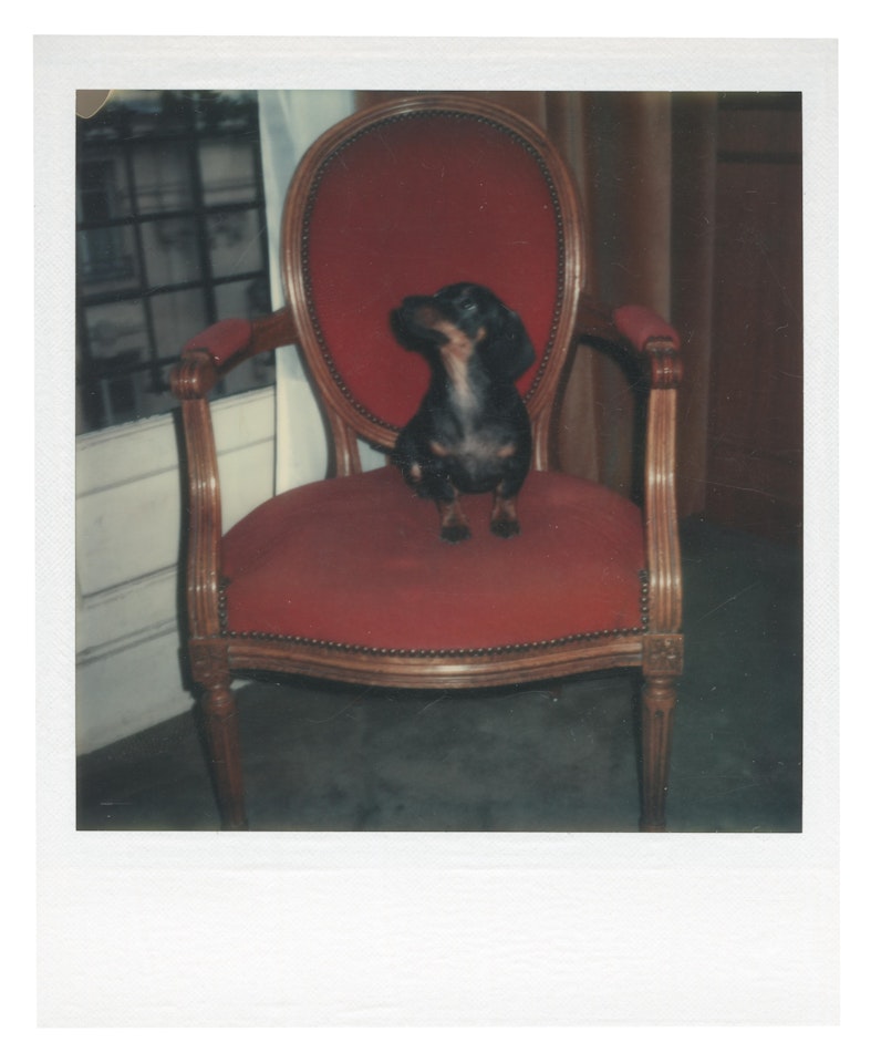 Archie by Andy Warhol