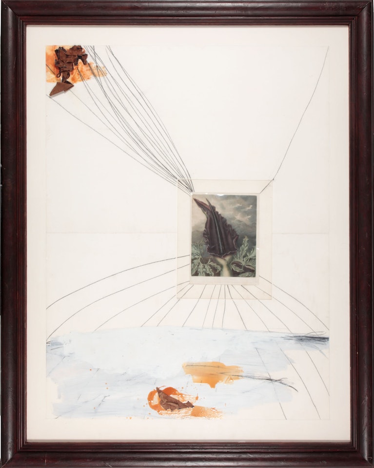 Untitled by Julian Schnabel