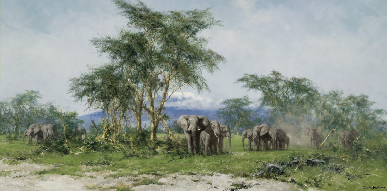 In the Shadow of Kilimanjaro-Amboseli by David Shepherd