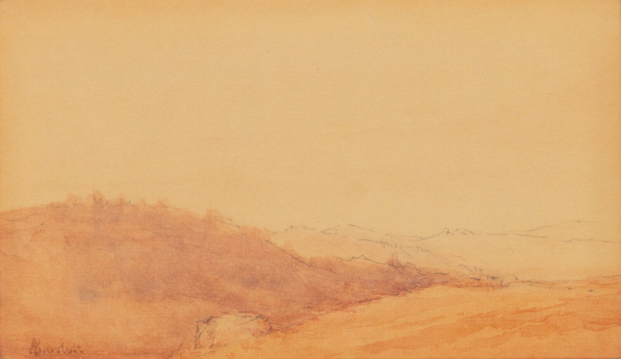 Landscape Study by Albert Bierstadt