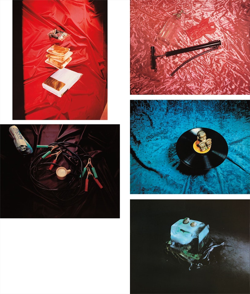 Tropical Fish Series by Ed Ruscha