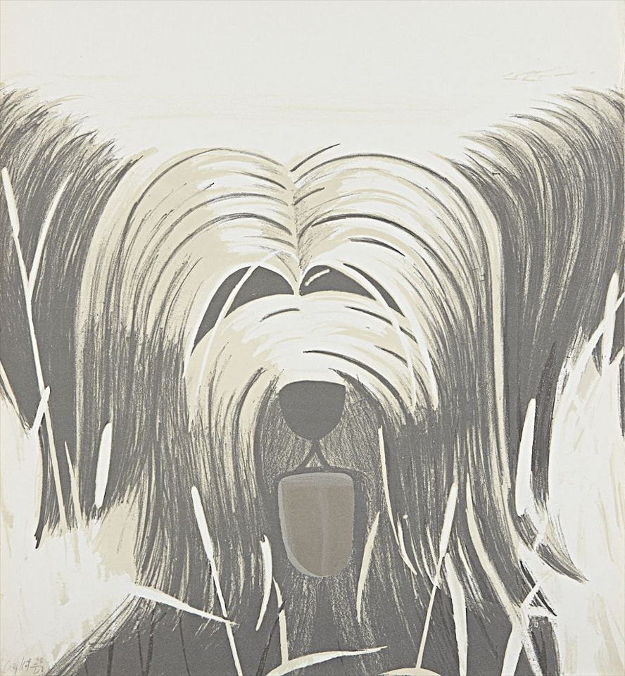 Black and White Sunny by Alex Katz