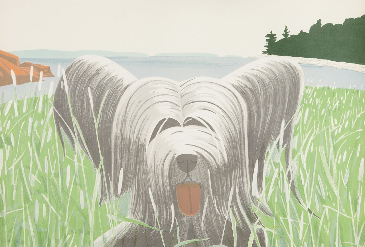 Dog at Ducktrap by Alex Katz