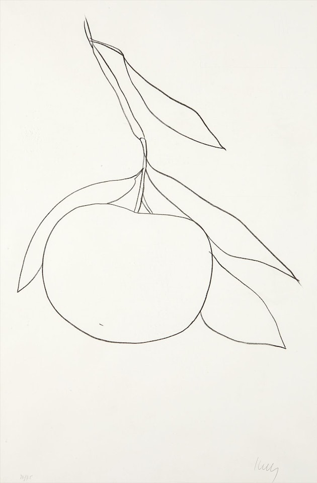 Grapefruit (Pamplemousse), from Suite of Plant Lithographs by Ellsworth Kelly