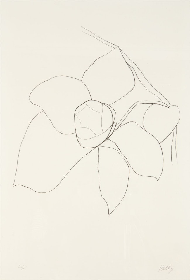 Camellia II, from Suite of Plant Lithographs by Ellsworth Kelly