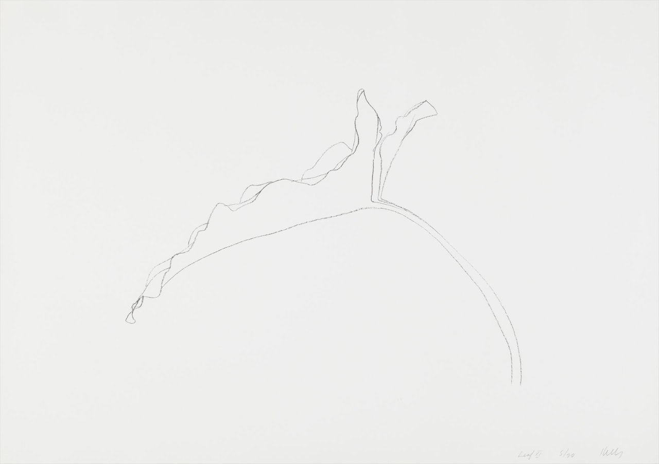 Leaf XI, from Twelve Leaves series by Ellsworth Kelly