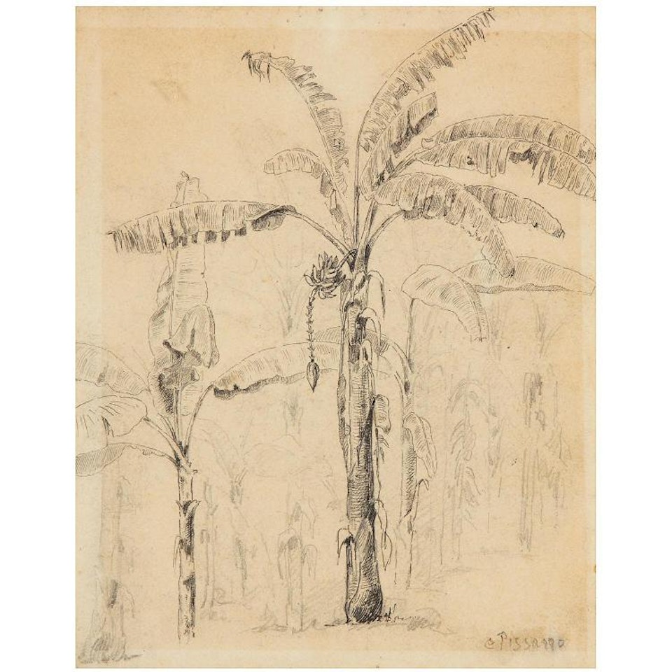 Bananiers; BANANIERS by Camille Pissarro