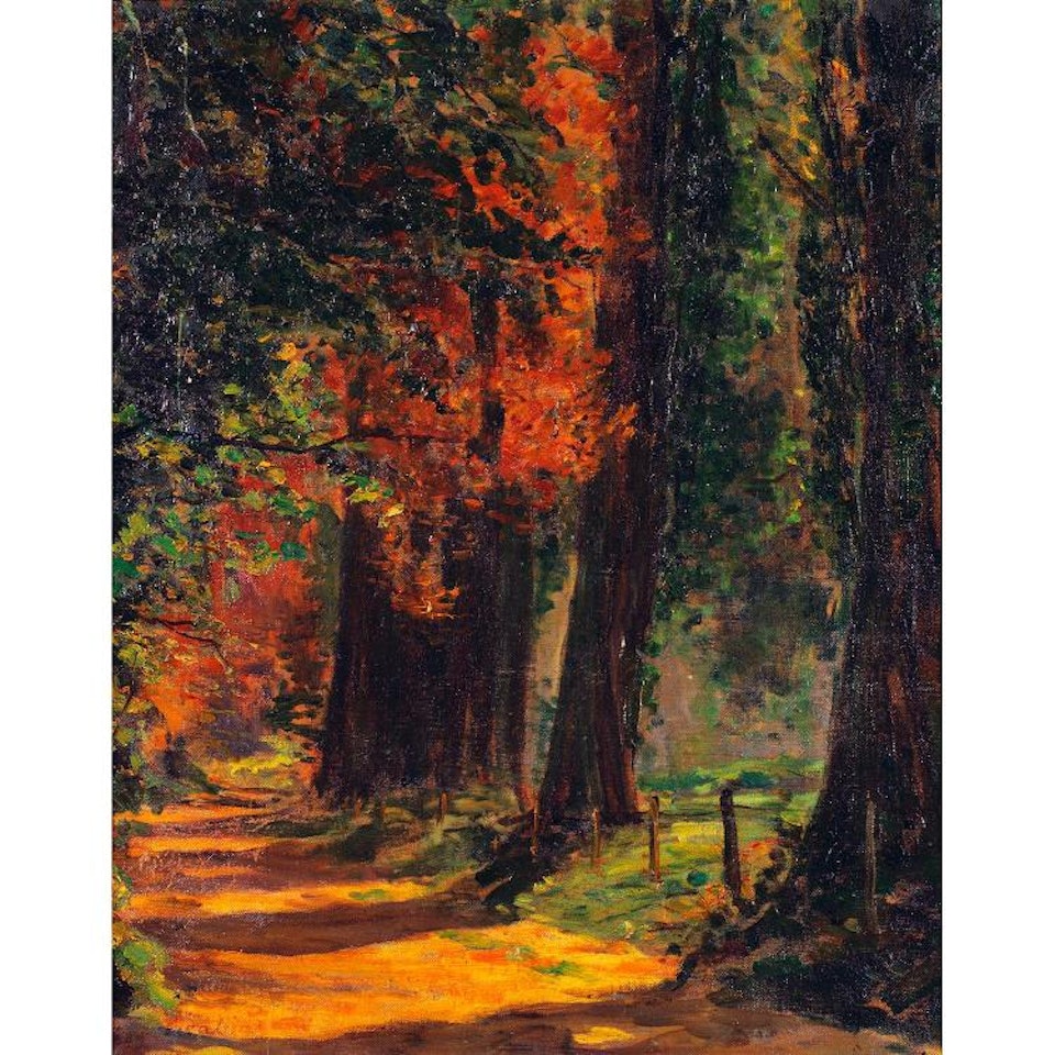 Chemin en sous bois; CHEMIN EN SOUS BOIS by Francis Picabia