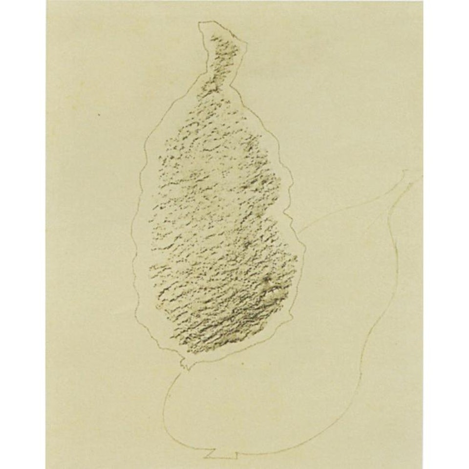 Fruit; FRUIT by Max Ernst