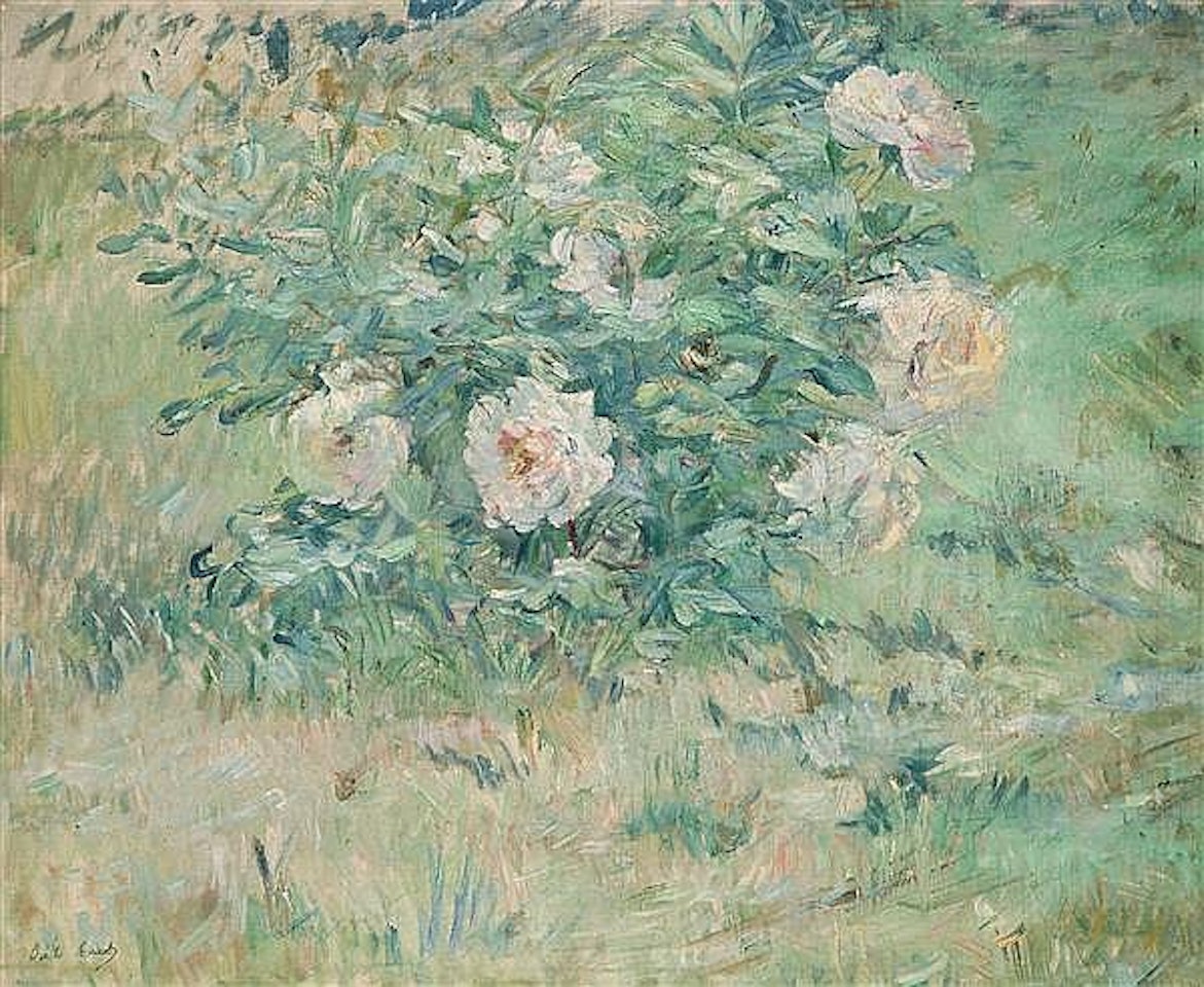 Pivoines; Pivoines by Berthe Morisot