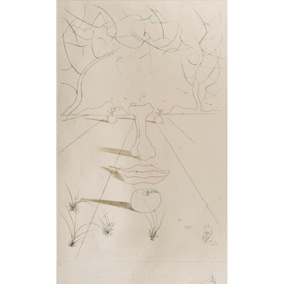 Surrealist Face, From the Aurélia Series by Salvador Dali