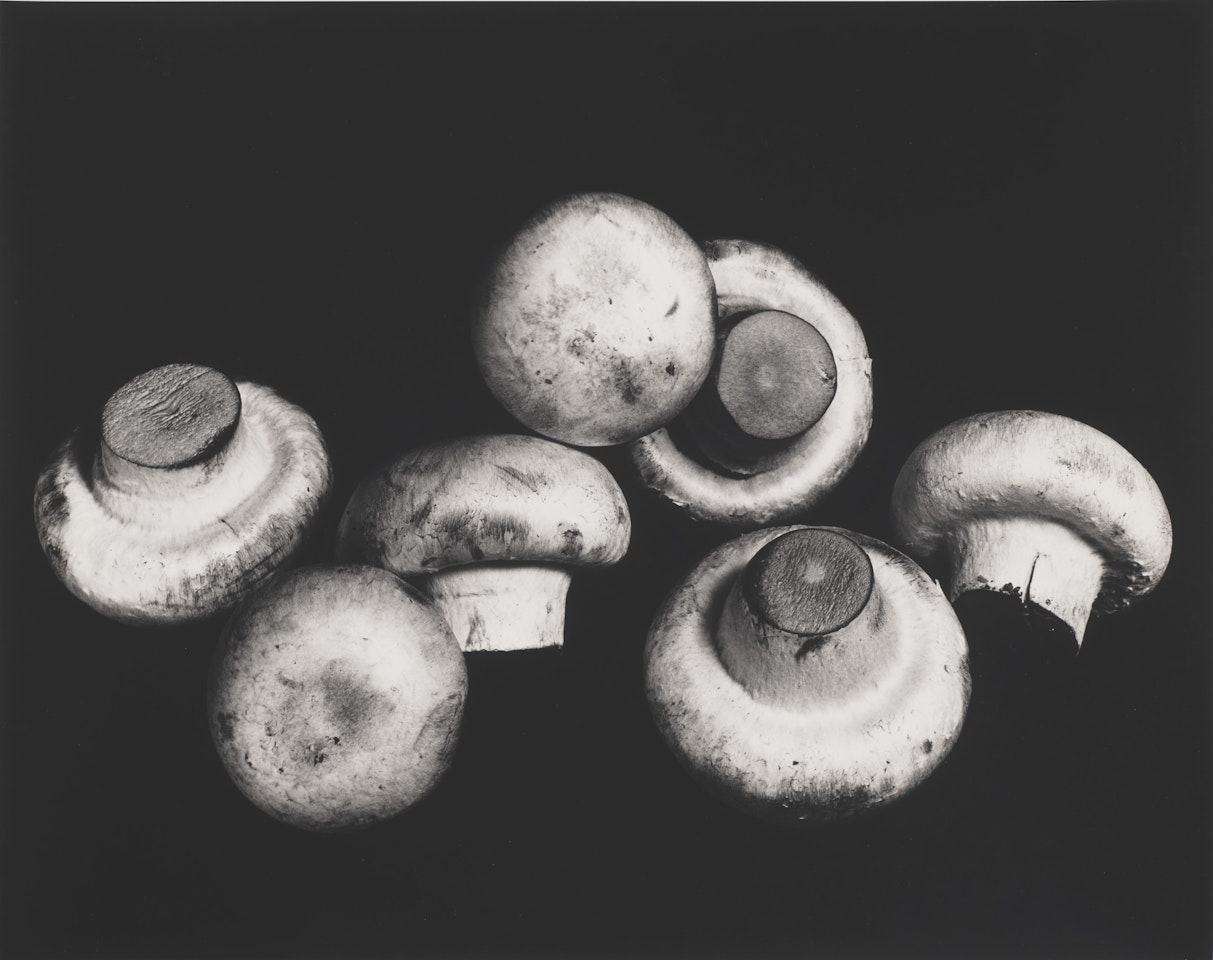 Still Life of Mushrooms, New York, 1966 by Irving Penn