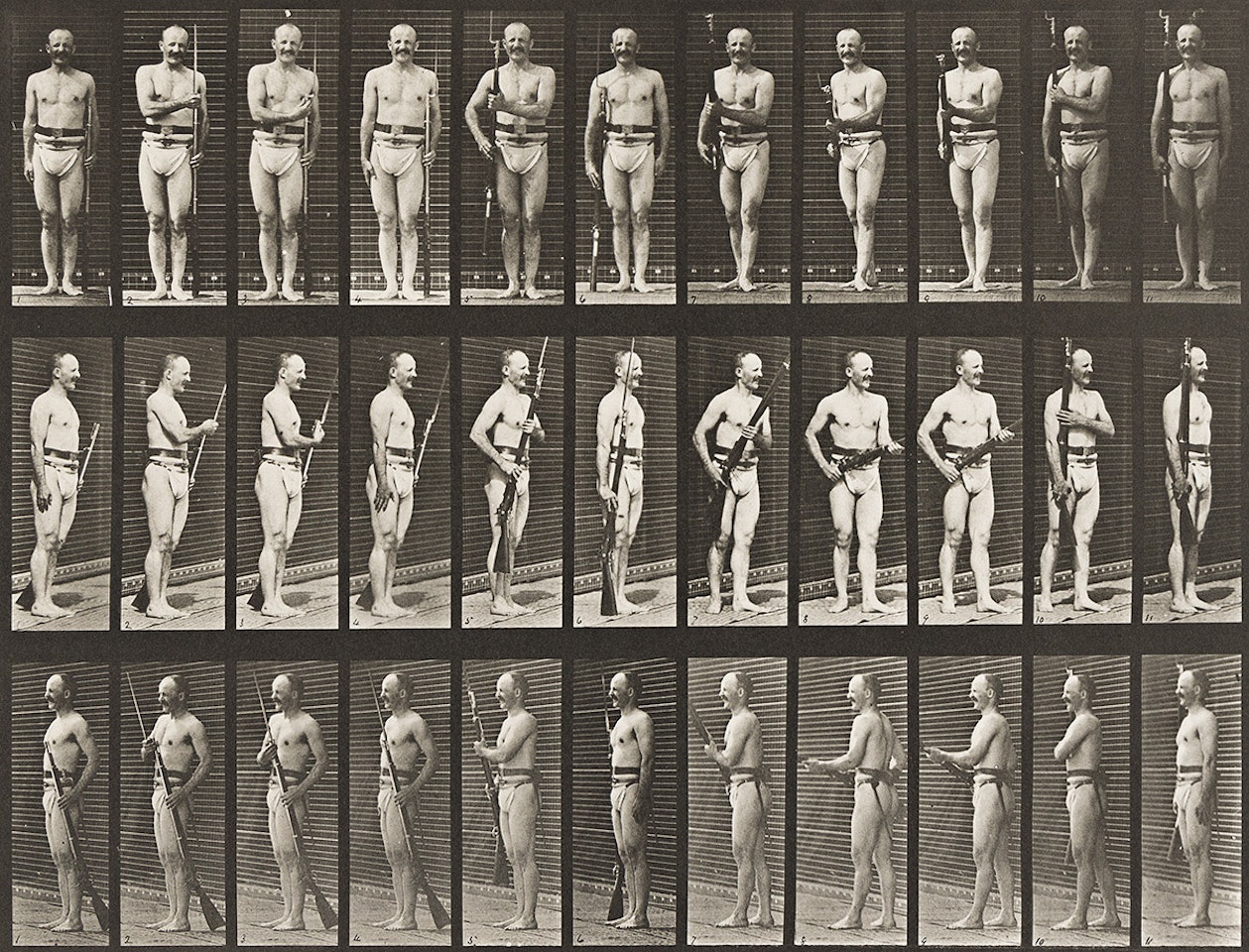 A selection of 4 plates from Animal Locomotion by Eadweard Muybridge