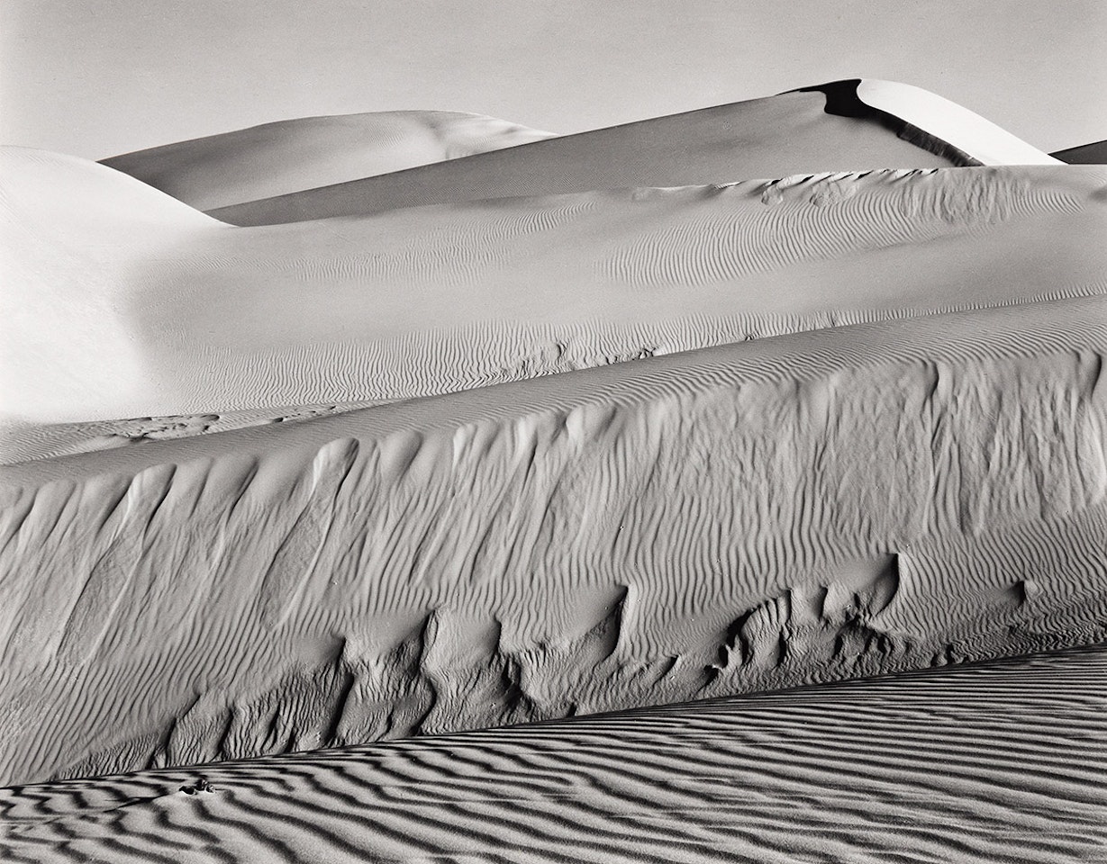 Dunes, Oceano by Edward Weston
