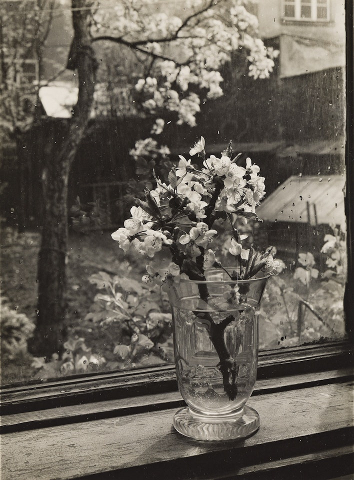 Window in studio by Josef Sudek