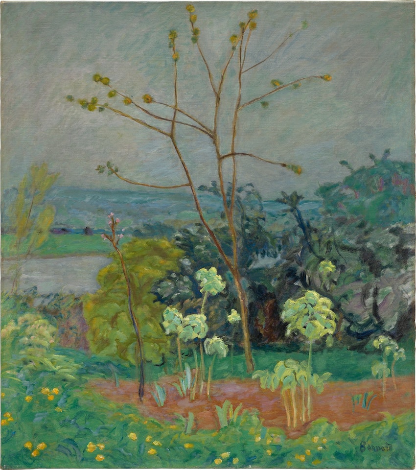 Jardin au bord de la Seine by Pierre Bonnard