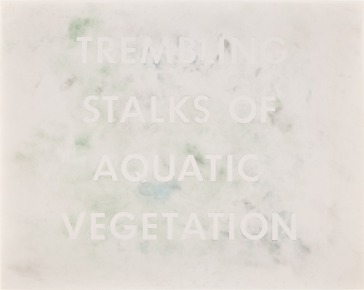 TREMBLING STALKS OF AQUATIC VEGETATION by Ed Ruscha