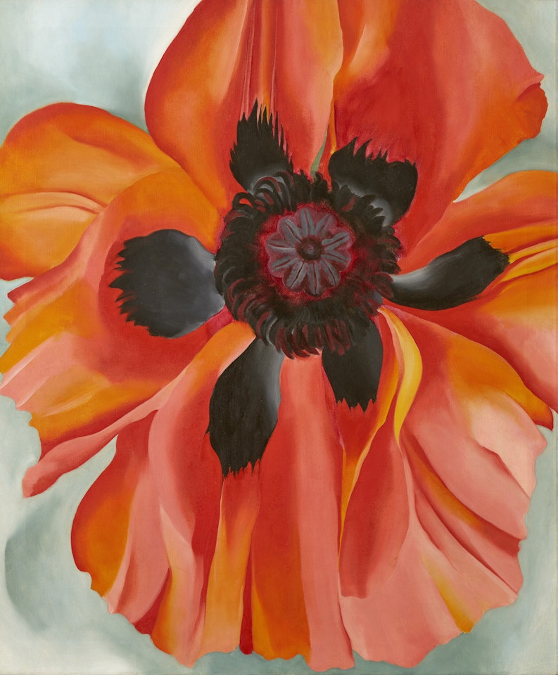 Red Poppy by Georgia O'Keeffe