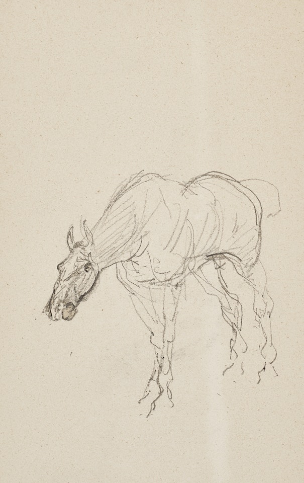 Cheval (recto); Cheval et sabots (verso) by Henri de Toulouse-Lautrec