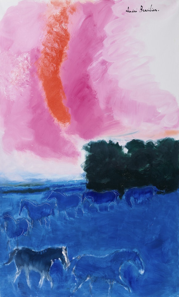 Ciel de feu by André Brasilier