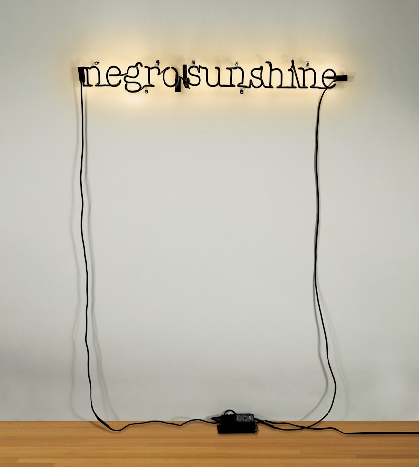 Warm Broad Glow by Glenn Ligon
