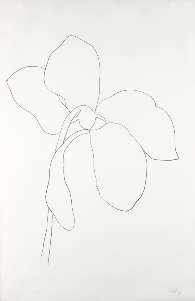 Cyclamen III from Suite of Plant Lithographs (Axsom 38) by Ellsworth Kelly