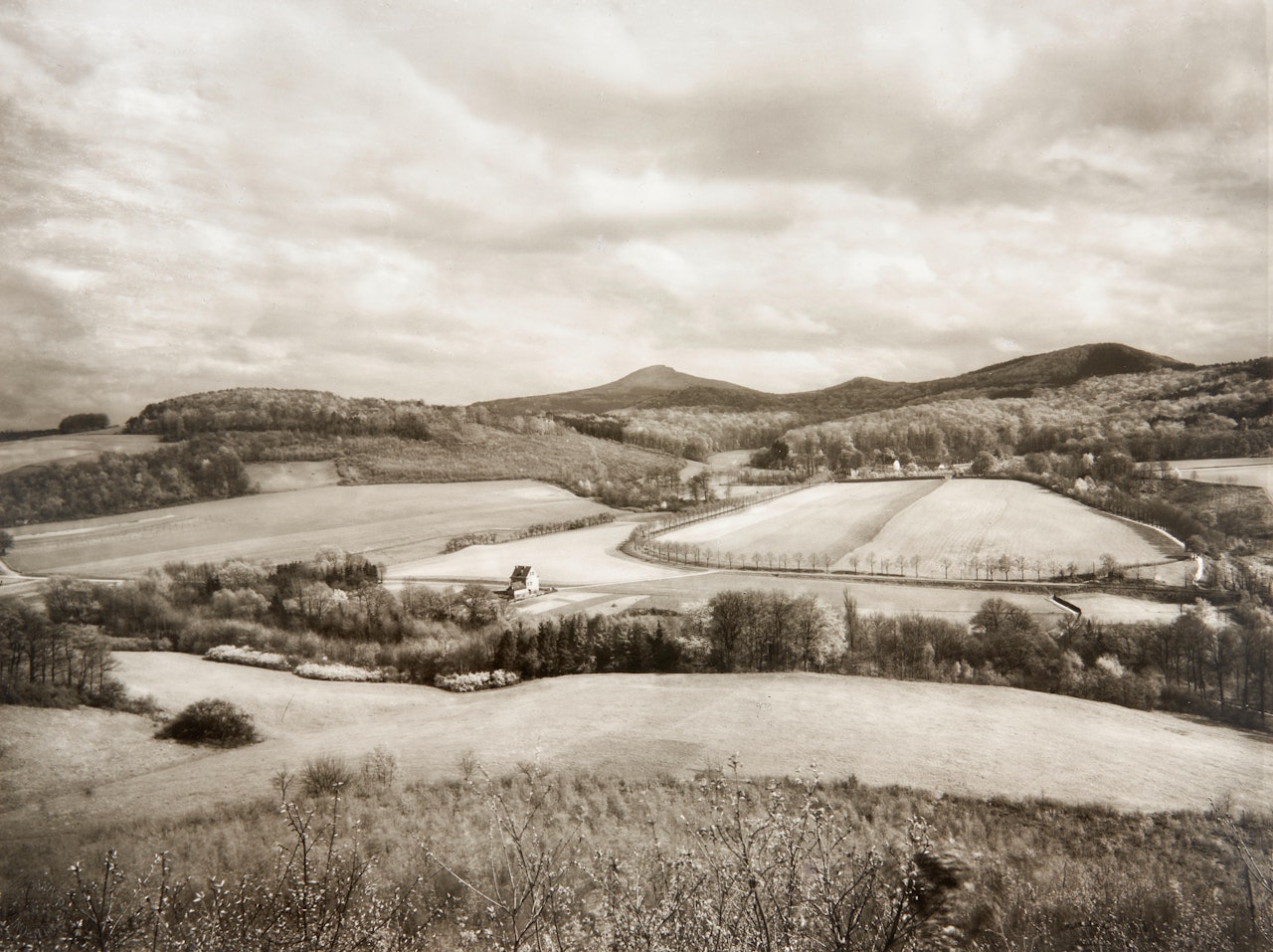 Heisterbach Area and the Olberg Mountain by August Sander