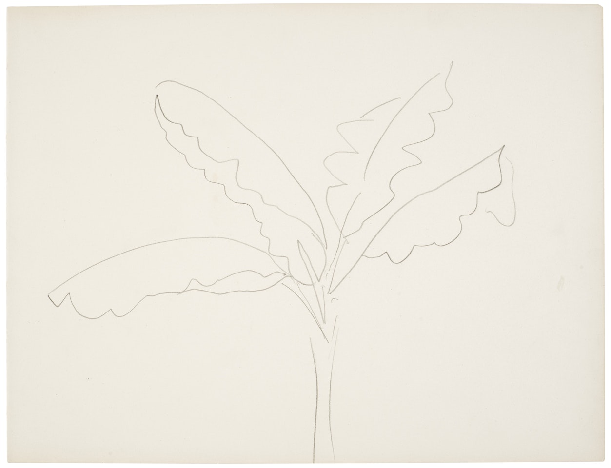 Banannier (Tahiti) by Henri Matisse