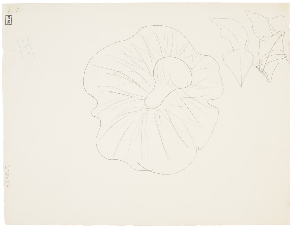 Etude de champignons (recto and verso) by Henri Matisse