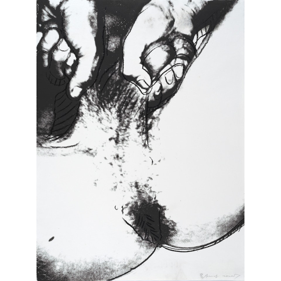 Untitled IV, from Sex Parts (Feldman & Schellmann II.175) by Andy Warhol