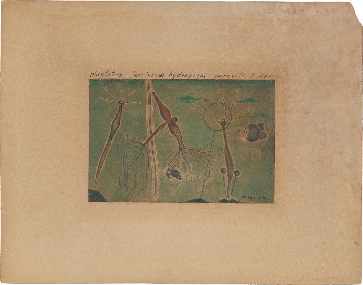 ”Plantation farcineuse hydropique parasite” by Max Ernst