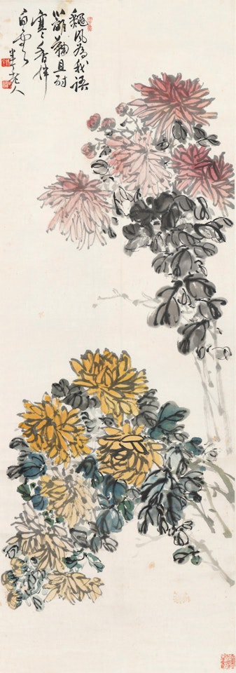 Chrysanthemum by Chen Banding
