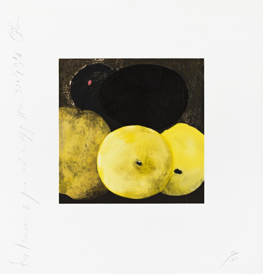 Five Lemons, a Pear, and an Egg . by Donald Sultan