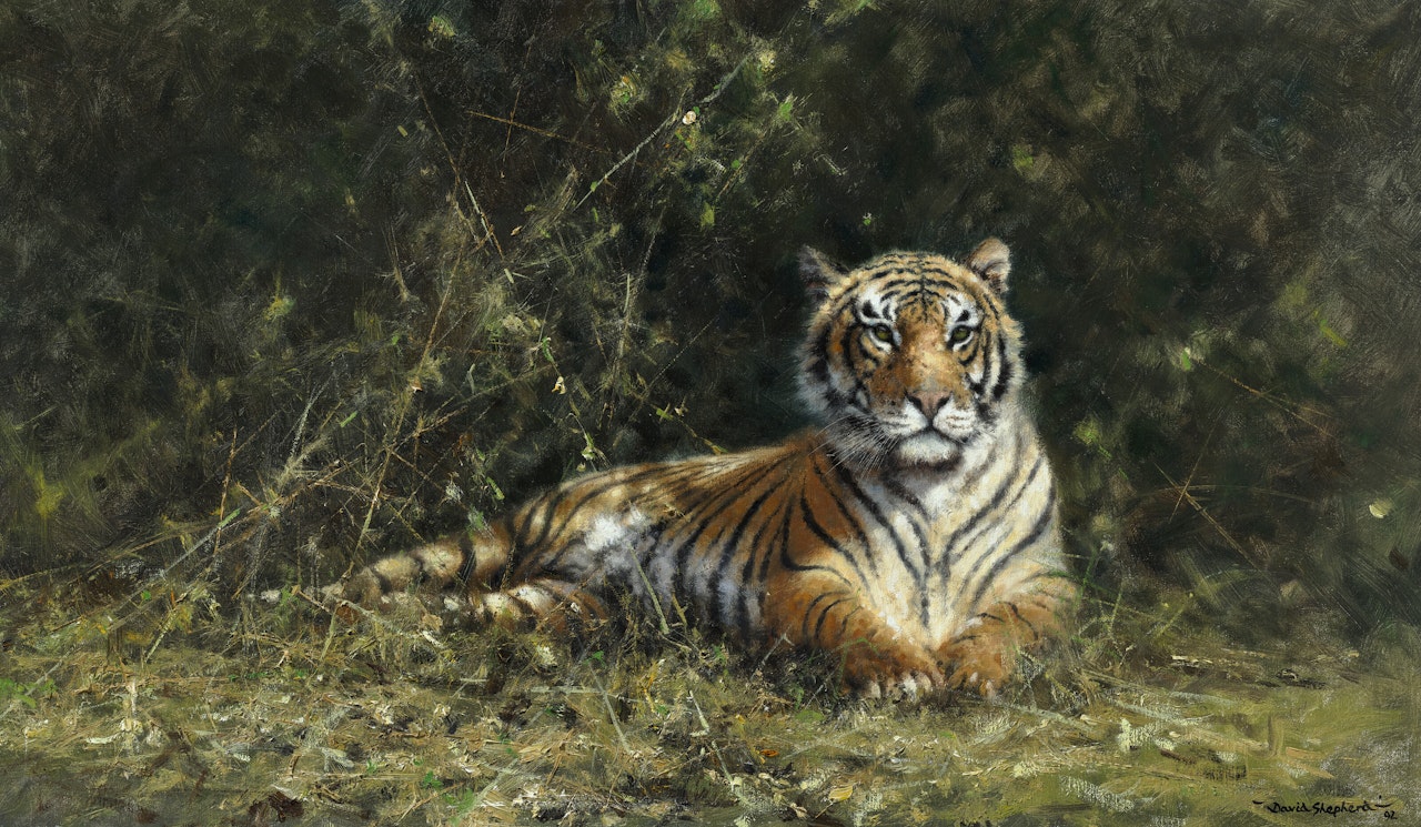Gentleman of the Jungle by David Shepherd