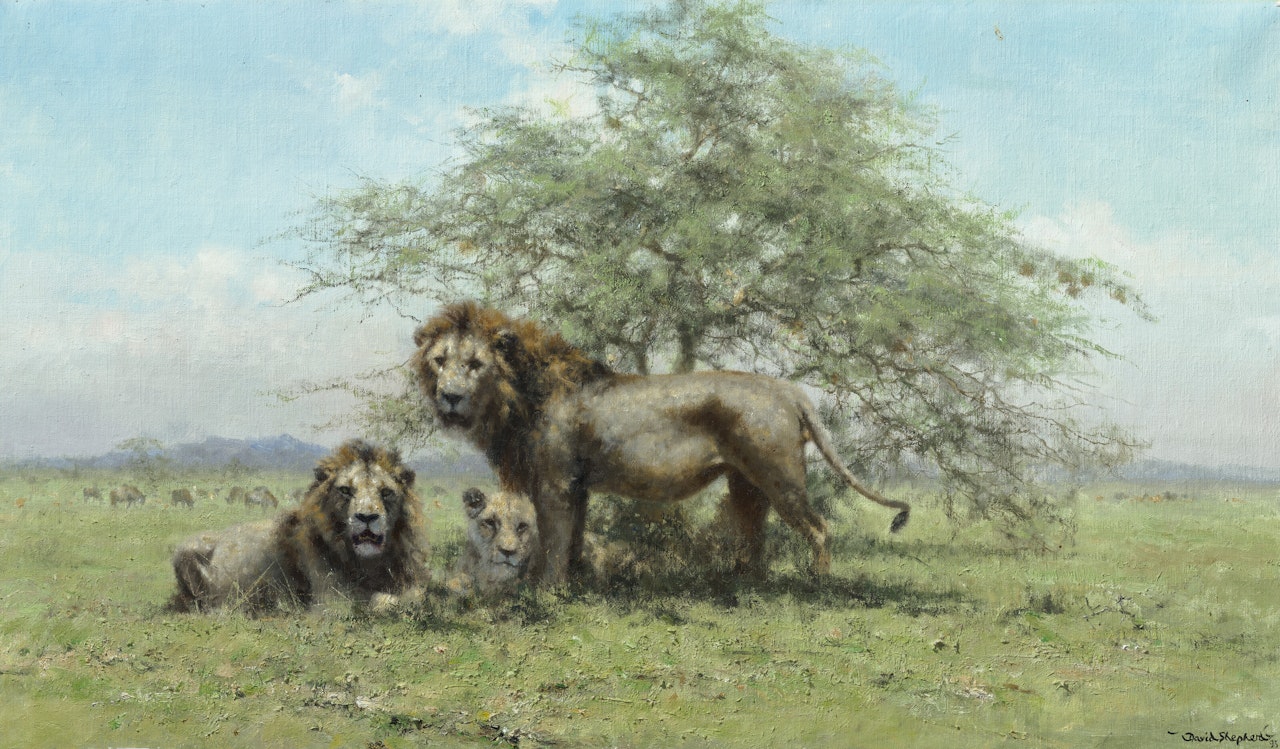 Lions in the Serengeti Park, Tanzania by David Shepherd