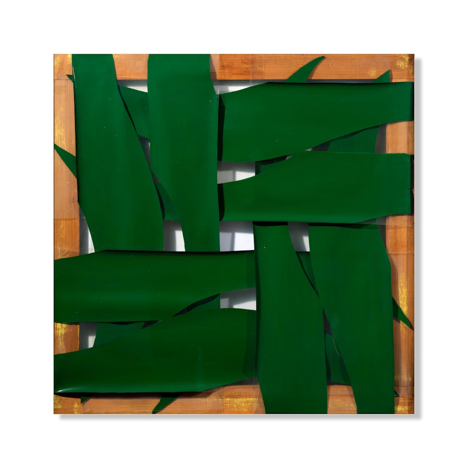Verde by Carla Accardi