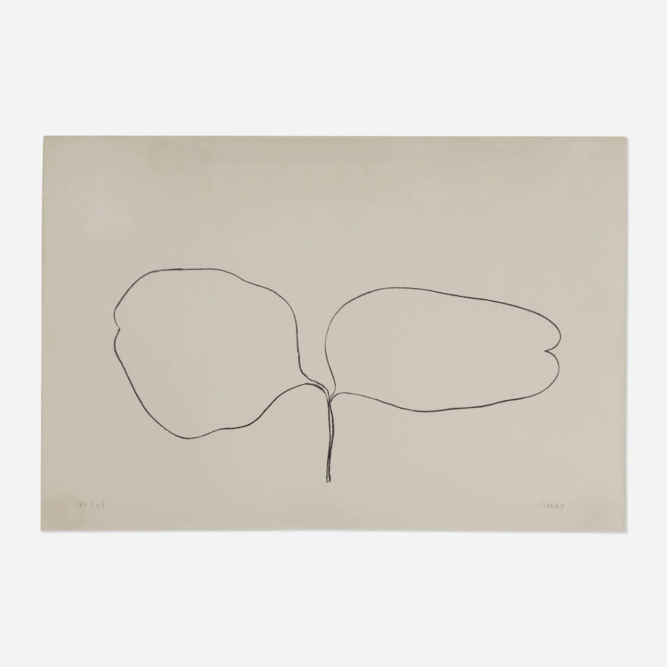 Locust (Acacia) (from the Suite of Plant Lithographs) by Ellsworth Kelly
